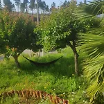 De Vale De Junco *