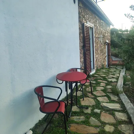 De Vale De Junco Envendos