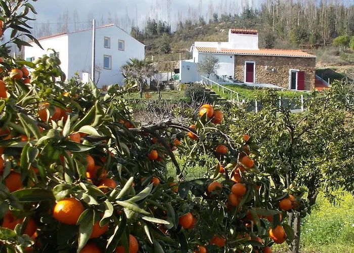 De Vale De Junco Vakantieboerderij *