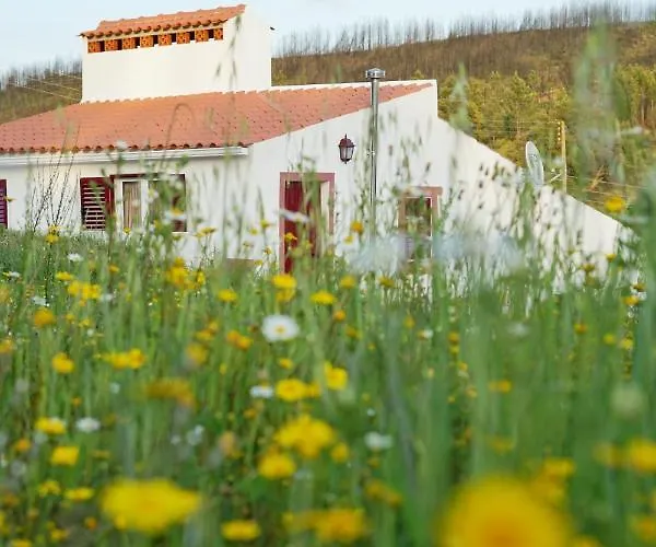 De Vale De Junco * Envendos