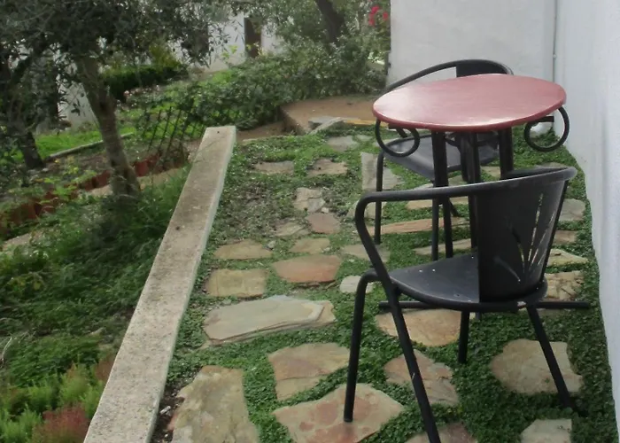 De Vale De Junco Envendos