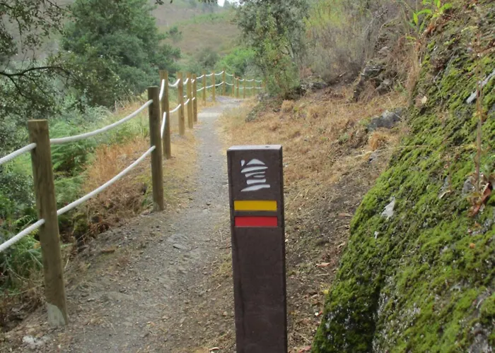 De Vale De Junco Envendos